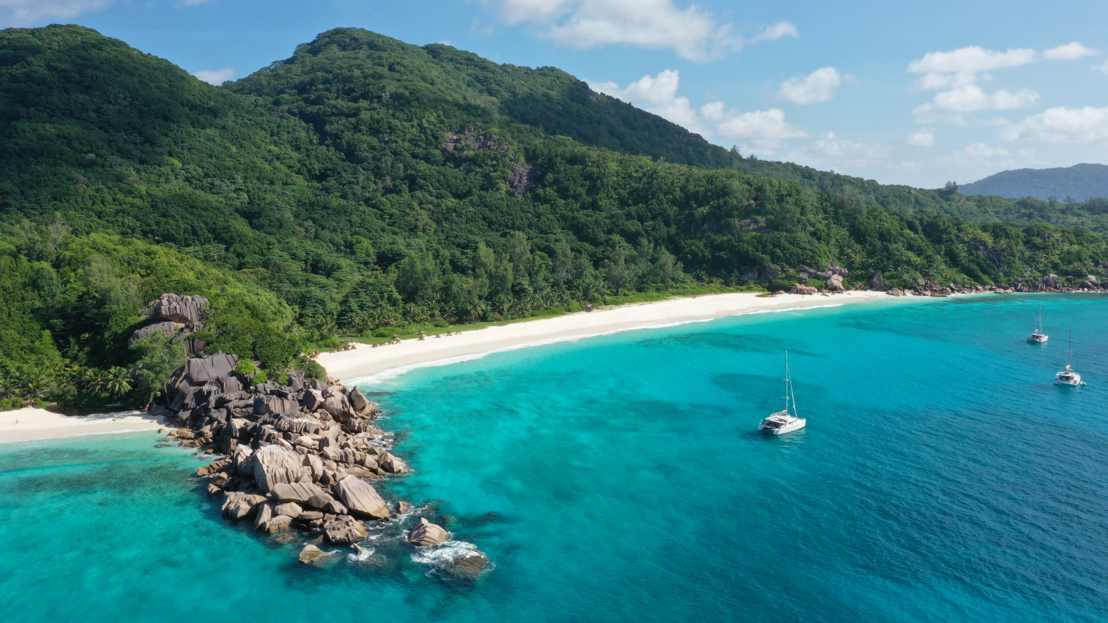 "A breathtaking beach in Seychelles travel guide with soft white sand, turquoise waters, and lush green palm trees under a clear blue sky.