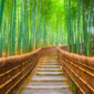 The breathtaking Arashiyama Bamboo Forest in Kyoto, Japan, a must-visit destination featured in this Kyoto travel guide