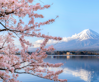 Mount Fuji with cherry blossoms in full bloom – a breathtaking view in Japan’s spring season. A must-see highlight in any Japan travel guide."