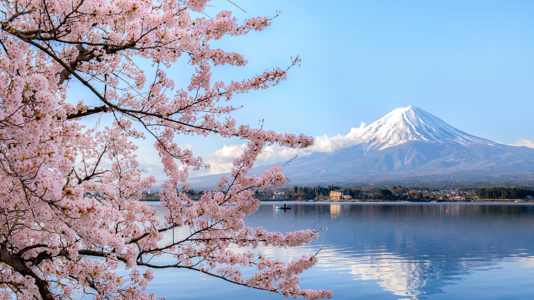 Mount Fuji with cherry blossoms in full bloom – a breathtaking view in Japan’s spring season. A must-see highlight in any Japan travel guide."